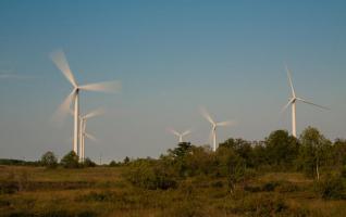 第一季度可再生能源占愛沙尼亞電力消耗的13.2％