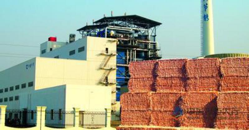 郭云高：失去“電價補貼” 生物質(zhì)和燃煤耦合生物質(zhì)發(fā)電該如何發(fā)展？