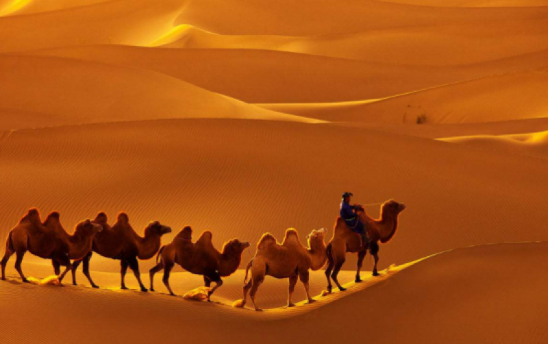 全國首座菲涅爾式太陽能光熱發電示范電站在敦煌開建