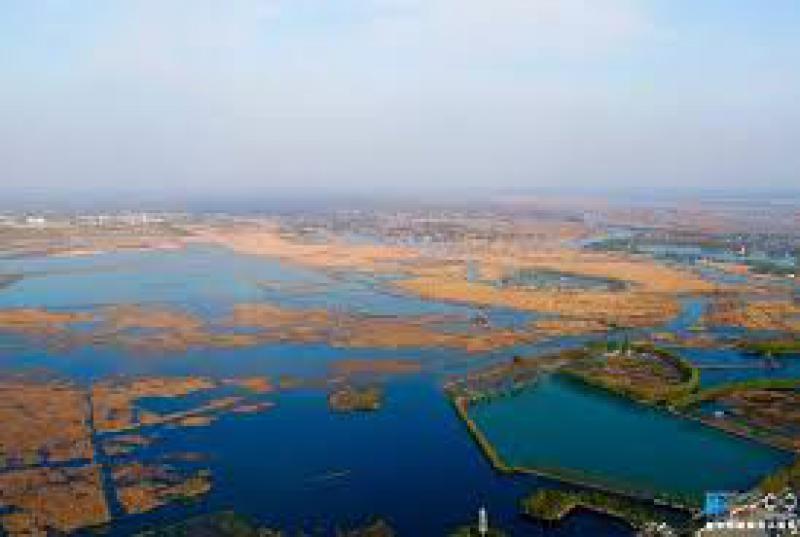 河北雄安新區(qū)將建設(shè)生態(tài)濕地凈化系統(tǒng)