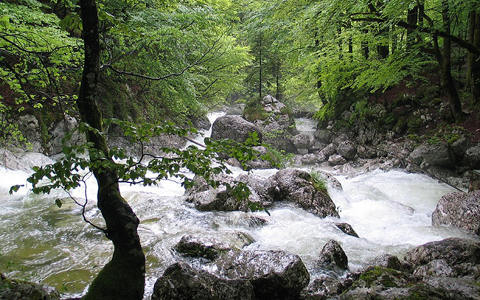 斯洛文尼亞支付6,940萬歐元建設(shè)可再生能源