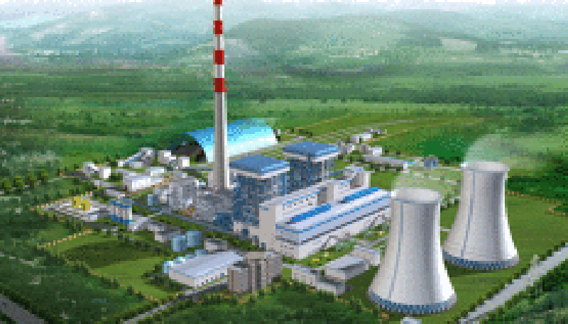 國泰發(fā)電成為燃煤耦合生物質(zhì)發(fā)電技改試點項目