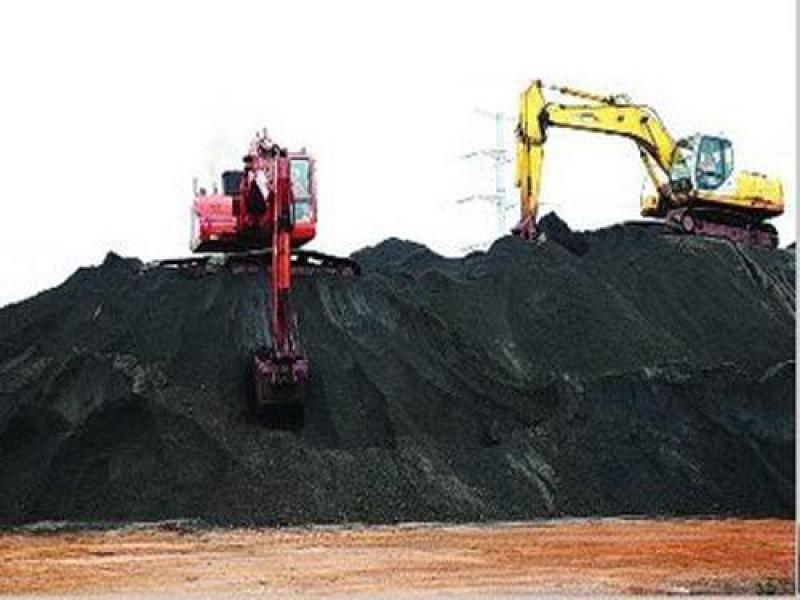 進口煤一周漲20元/噸！