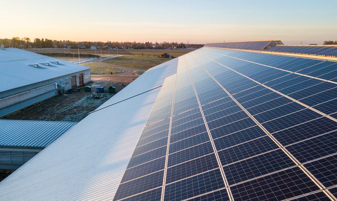 愛沙尼亞奶牛場(chǎng)開始工作的太陽能發(fā)電廠處于最高容量