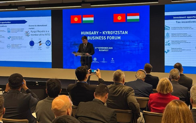 匈牙利與吉爾吉斯斯坦簽署300兆瓦太陽能發電項目合作協議